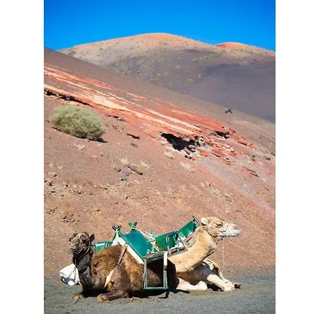 Cortijo Mar 23
